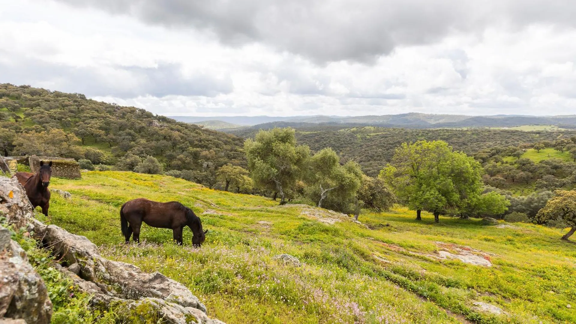 Finca La Arborea Higuera De La Sierra  0*, Higuera De La Sierra (Huelva)